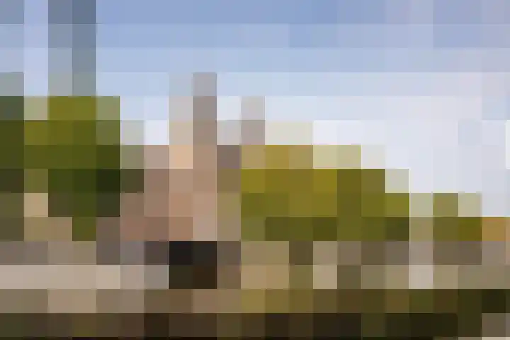 Olympiaweg 58 1 Amsterdam thumbnail 31