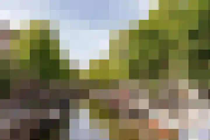 Olympiaweg 58 1 Amsterdam thumbnail 32