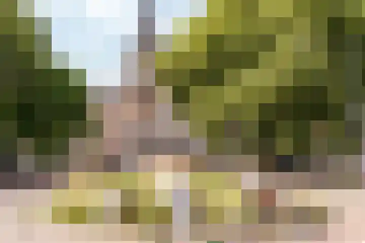 Olympiaweg 58 1 Amsterdam thumbnail 33