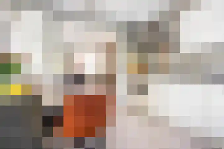 Olympiaweg 58 1 Amsterdam thumbnail 9
