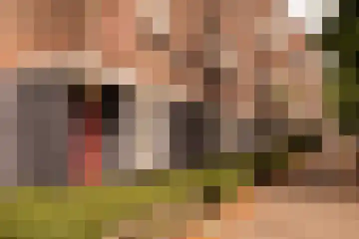 Olympiaweg 64 1 Amsterdam thumbnail 25