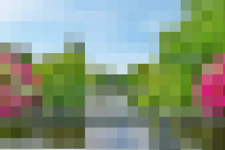 Olympiaweg 64 1 Amsterdam thumbnail 28
