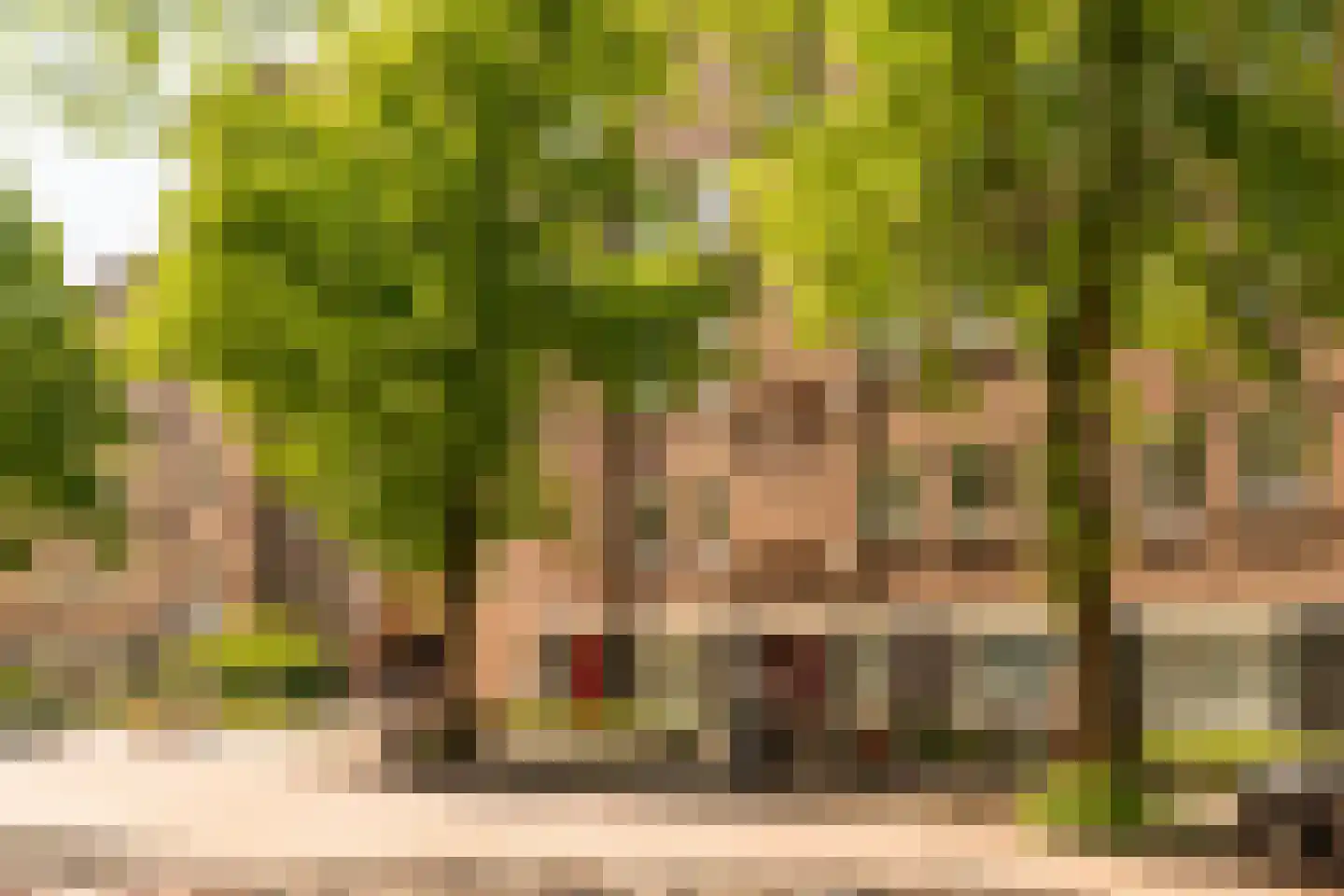 Olympiaweg 64 H Amsterdam thumbnail 22