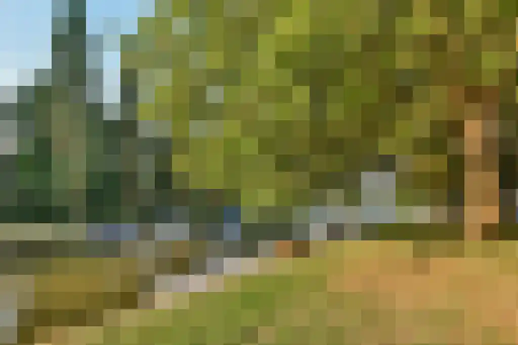 Olympiaweg 64 H Amsterdam thumbnail 23
