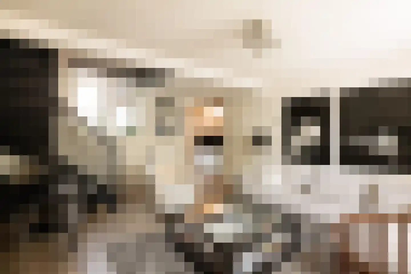 Olympiaweg 64 H Amsterdam thumbnail 4