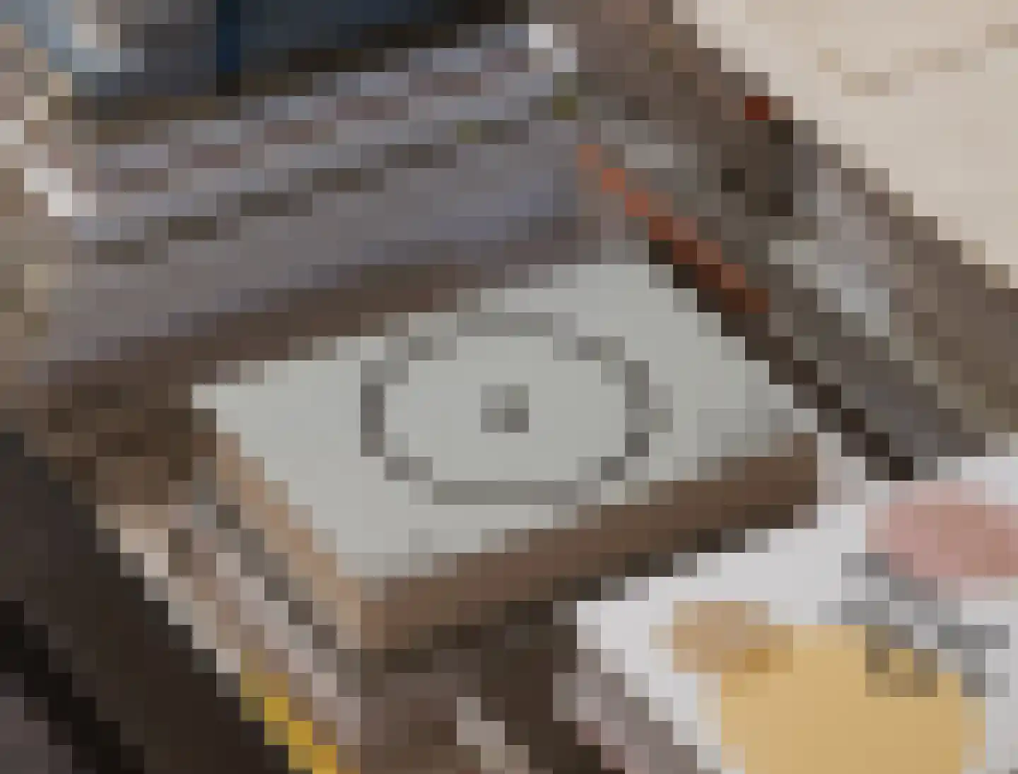 Olympiaweg 64 H Amsterdam thumbnail 7