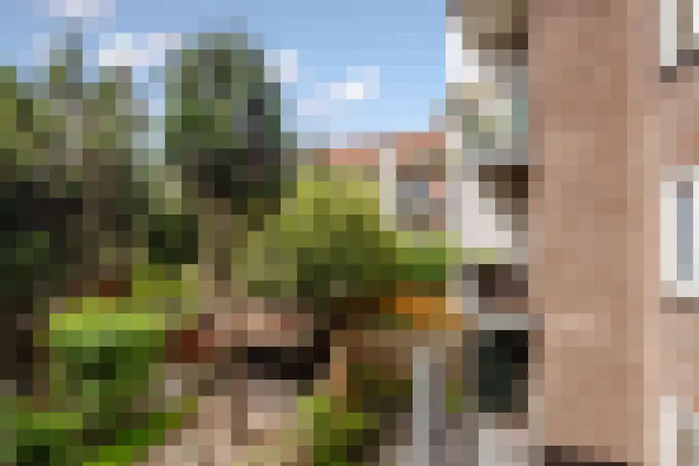 Olympiaweg 68 3 Amsterdam thumbnail 22