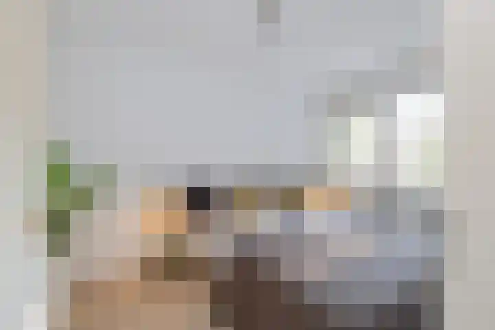 Olympiaweg 71 D Amsterdam thumbnail 18