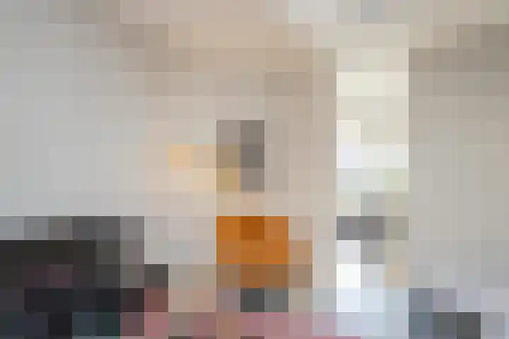 Olympiaweg 71 D Amsterdam thumbnail 9