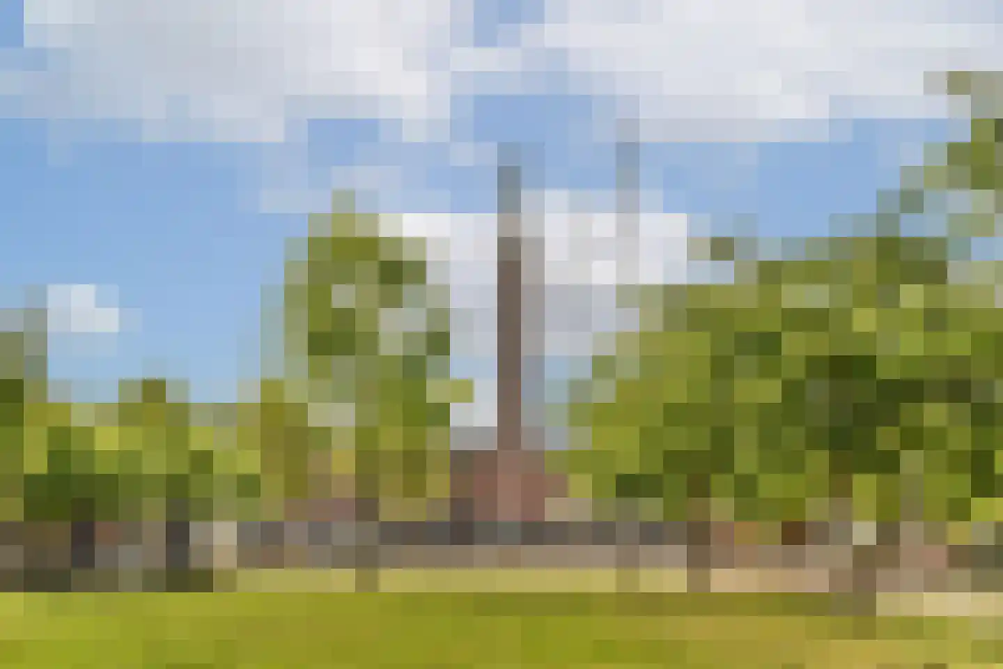 Olympiaweg 72 2 Amsterdam thumbnail 26