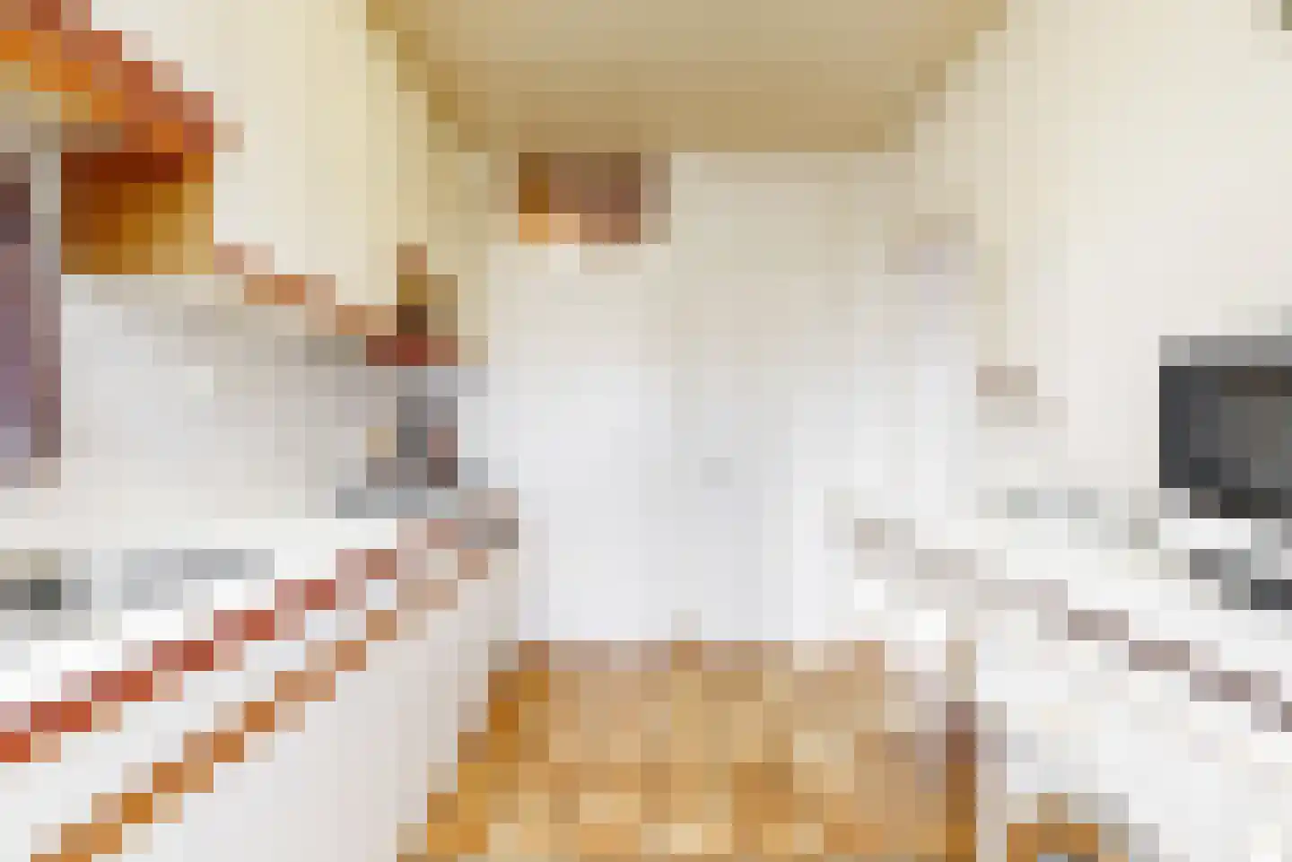 Olympiaweg 8 Wervershoof thumbnail 12
