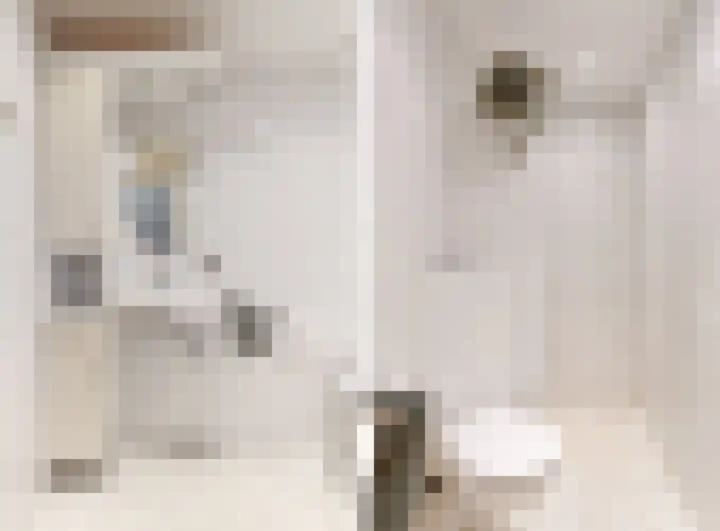 Olympiaweg 8 Wervershoof thumbnail 22