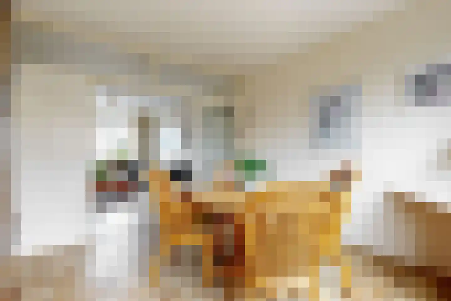 Olympiaweg 8 Wervershoof thumbnail 9