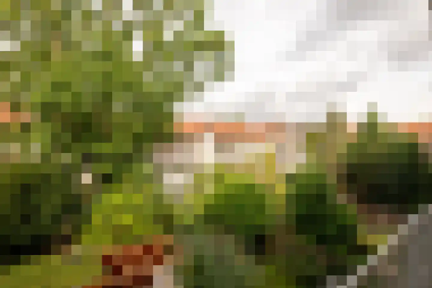 Olympiaweg 80 2 Amsterdam thumbnail 11