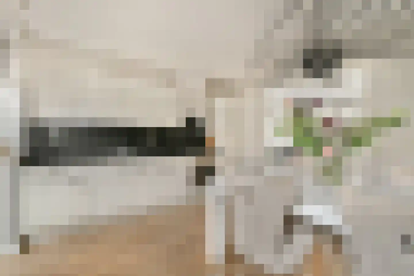 Olympiaweg 86 H Amsterdam thumbnail 5