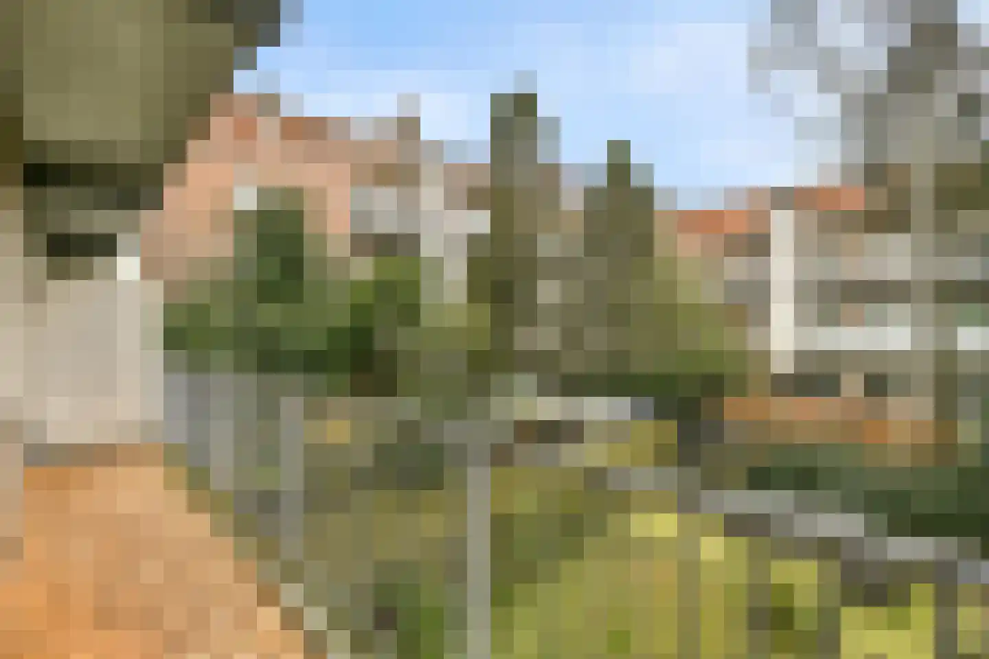 Olympiaweg 86 H Amsterdam thumbnail 8