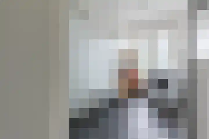 Olympiaweg 90 1 Amsterdam thumbnail 19