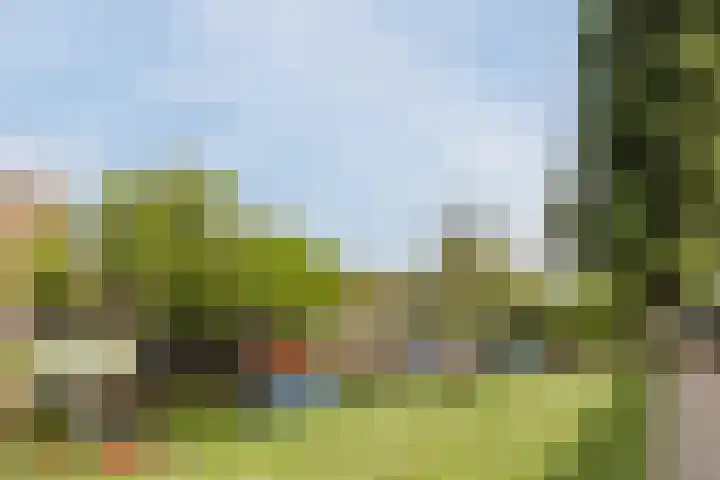 Olympiaweg 90 1 Amsterdam thumbnail 24
