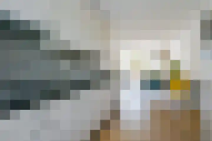 Olympiaweg 90 Wervershoof thumbnail 11