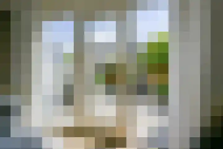 Olympiaweg 90 Wervershoof thumbnail 12