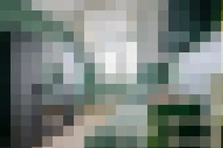 Olympiaweg 90 Wervershoof thumbnail 19