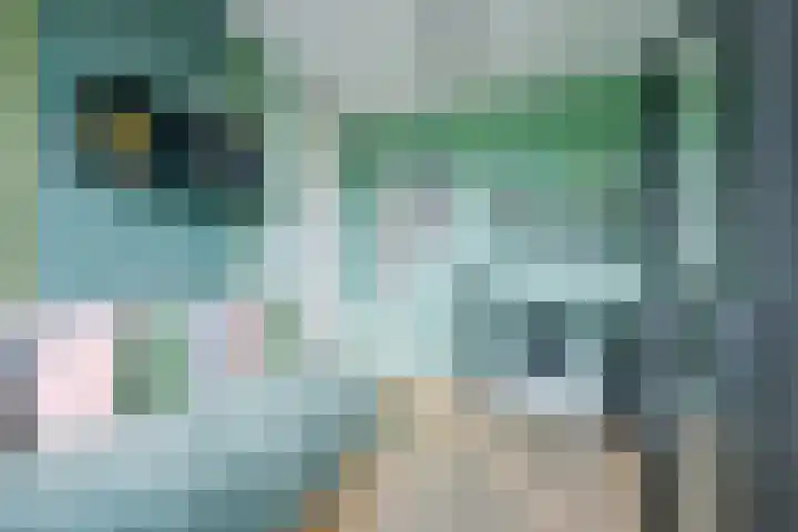 Olympiaweg 90 Wervershoof thumbnail 20