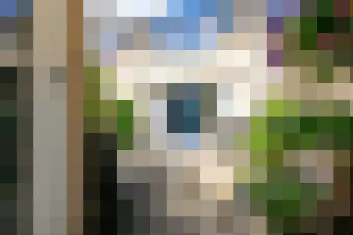 Olympiaweg 90 Wervershoof thumbnail 27