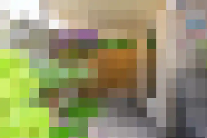 Olympiaweg 90 Wervershoof thumbnail 28