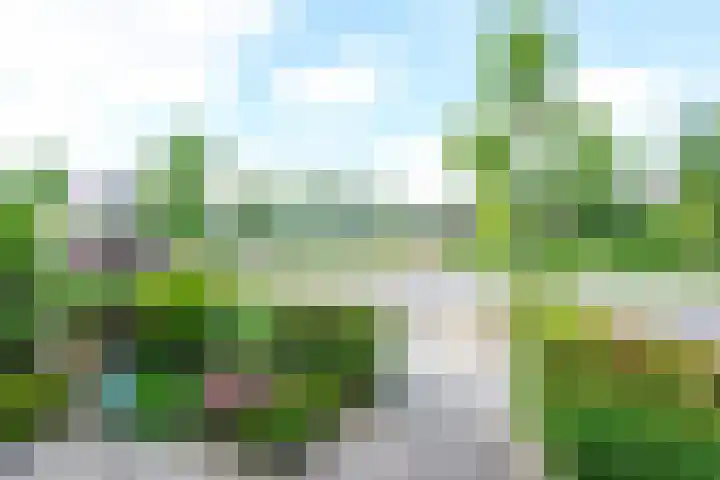 Olympiaweg 90 Wervershoof thumbnail 31
