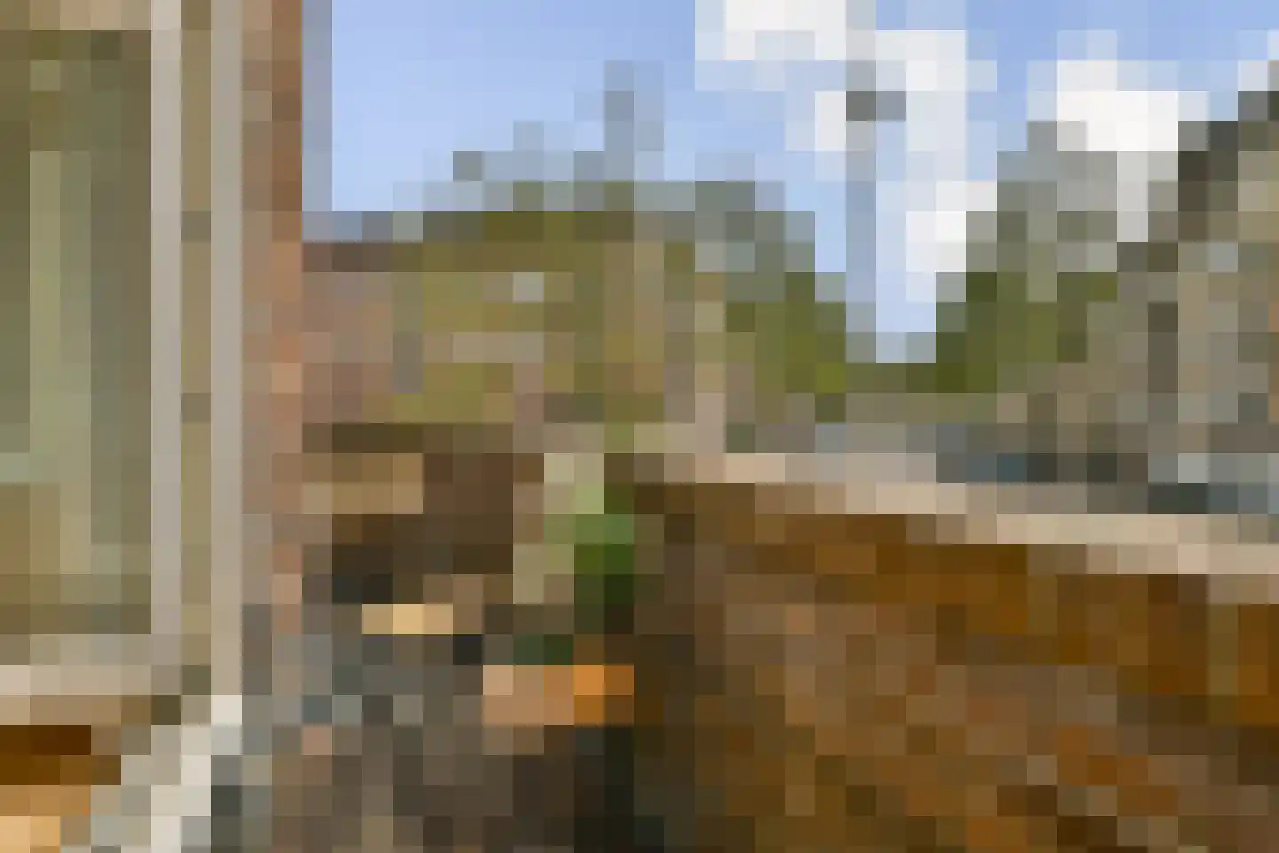 Olympiaweg 92 1 Amsterdam thumbnail 5