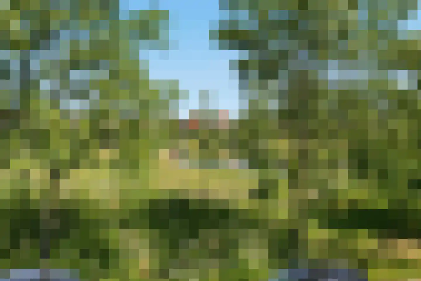 Olympus 28 Assendelft thumbnail 27