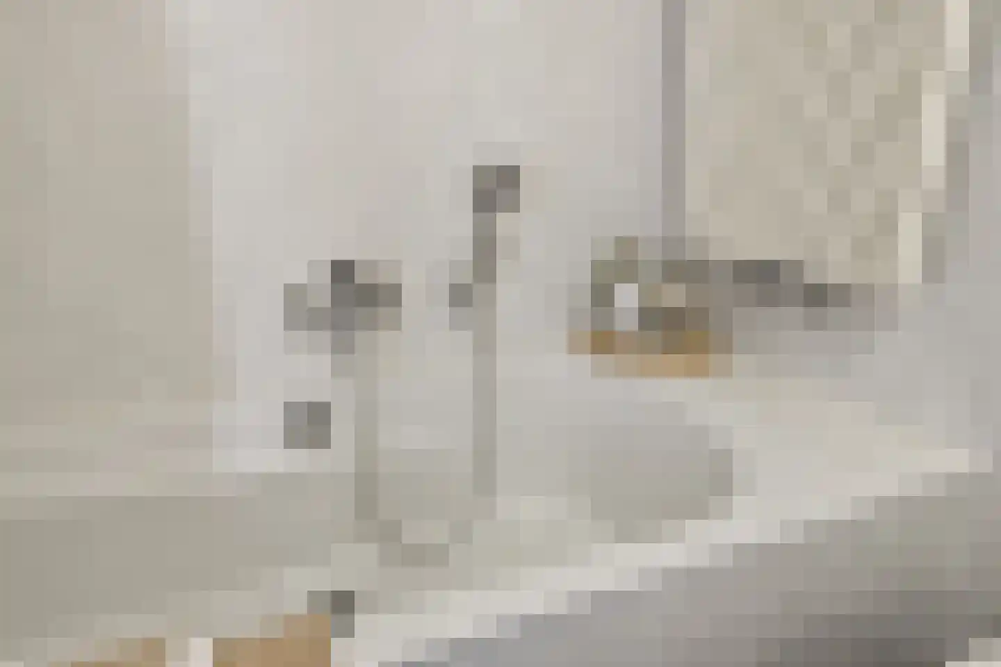 Olympus 28 Assendelft thumbnail 36