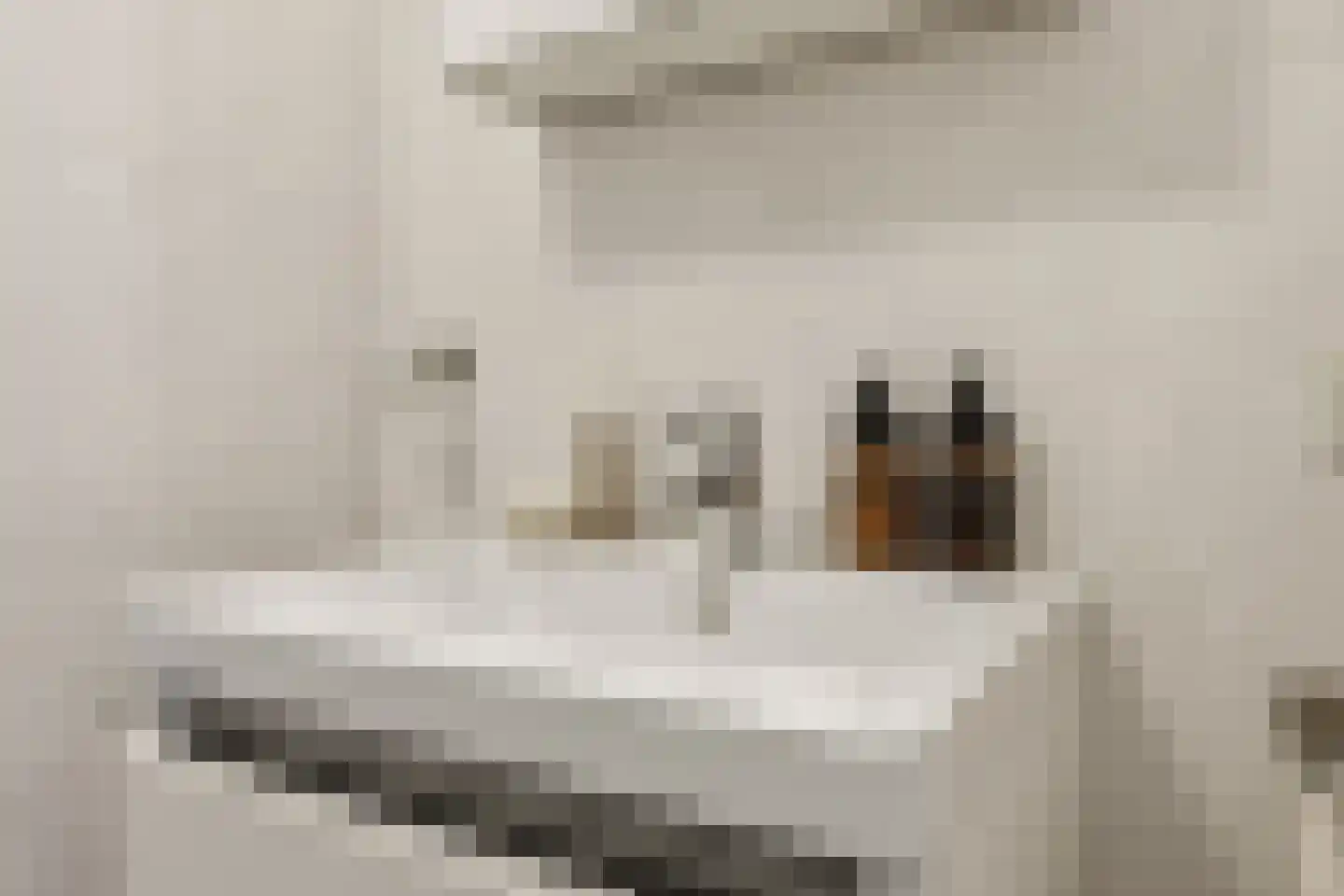 Olympus 28 Assendelft thumbnail 37