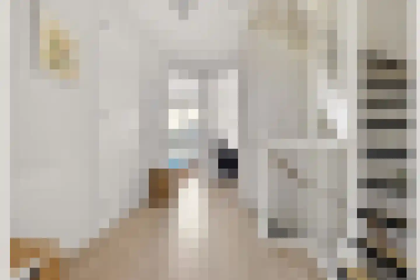 Olympus 28 Assendelft thumbnail 39