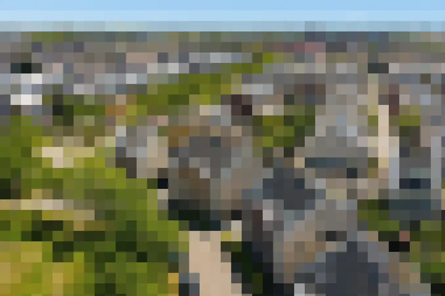 Olympus 28 Assendelft thumbnail 48