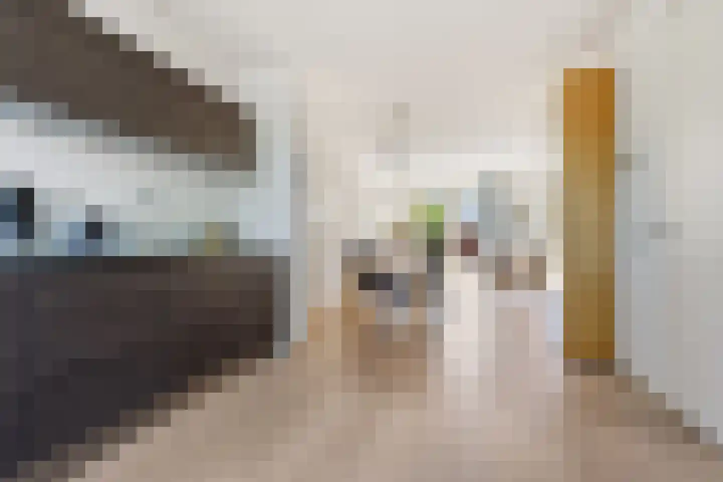 Olympus 28 Assendelft thumbnail 5