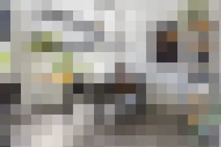 Olympushôf 6 Stiens thumbnail 11