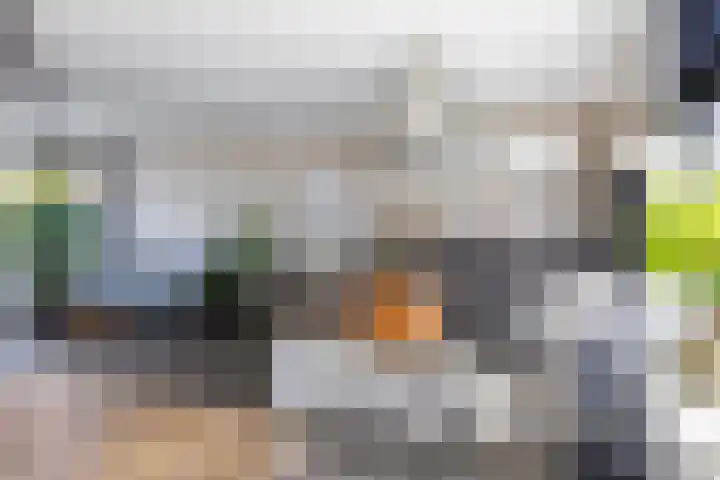 Olympushôf 6 Stiens thumbnail 13
