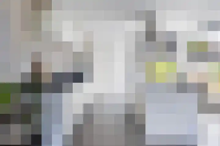 Olympushôf 6 Stiens thumbnail 14