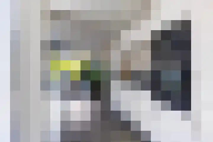 Olympushôf 6 Stiens thumbnail 16