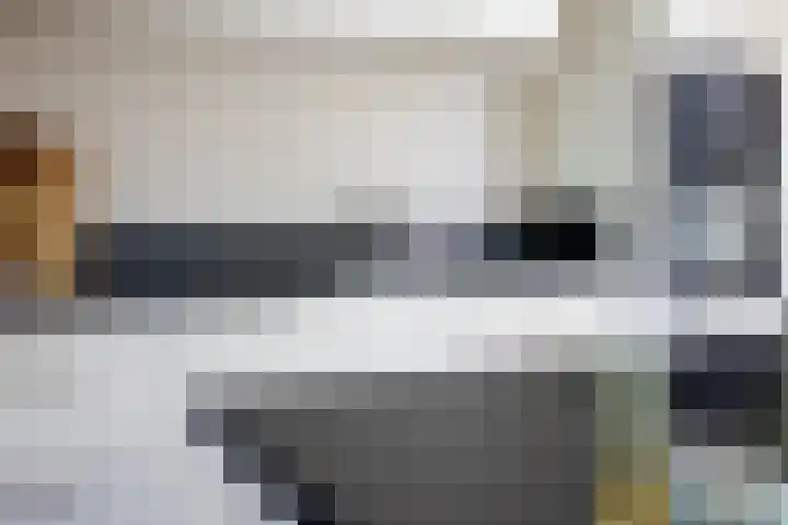 Olympushôf 6 Stiens thumbnail 17