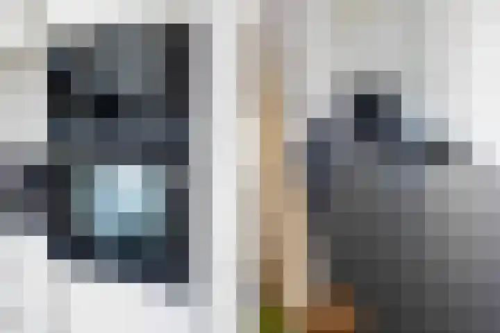 Olympushôf 6 Stiens thumbnail 18