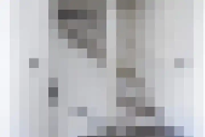 Olympushôf 6 Stiens thumbnail 21