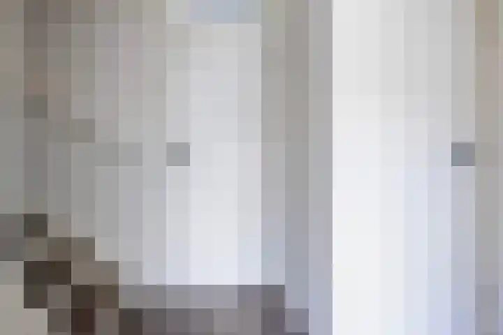 Olympushôf 6 Stiens thumbnail 22