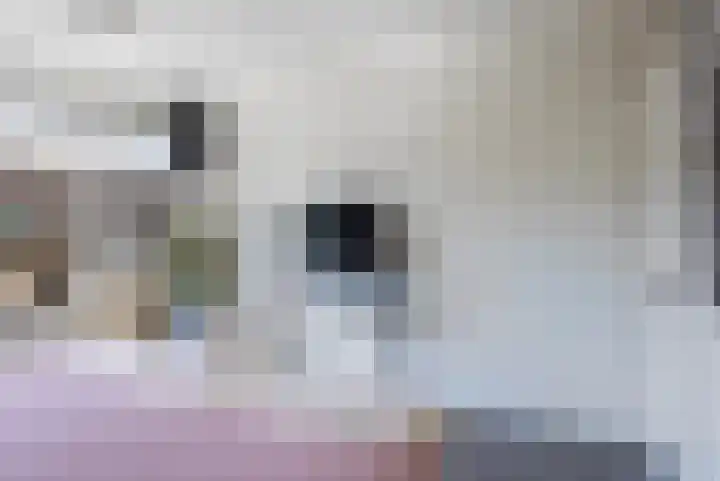 Olympushôf 6 Stiens thumbnail 24