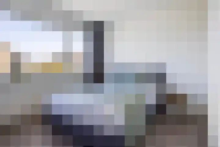 Olympushôf 6 Stiens thumbnail 27