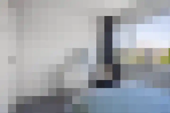 Olympushôf 6 Stiens thumbnail 28