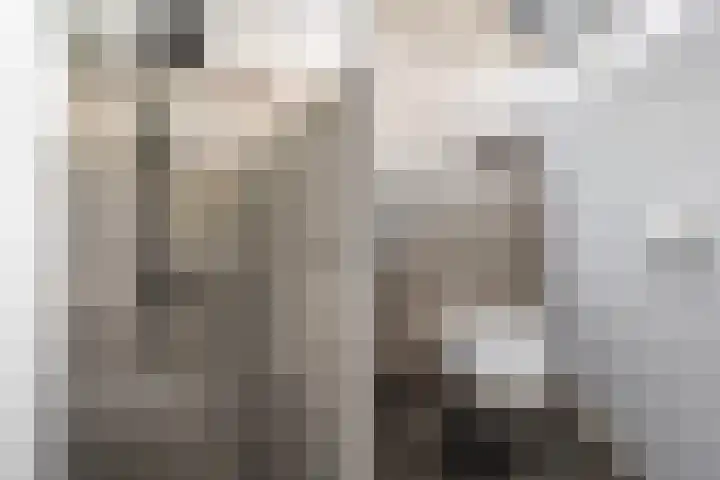 Olympushôf 6 Stiens thumbnail 30