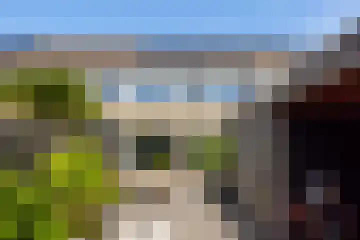 Olympushôf 6 Stiens thumbnail 35
