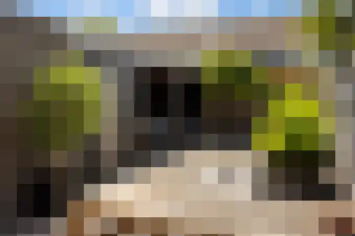 Olympushôf 6 Stiens thumbnail 37